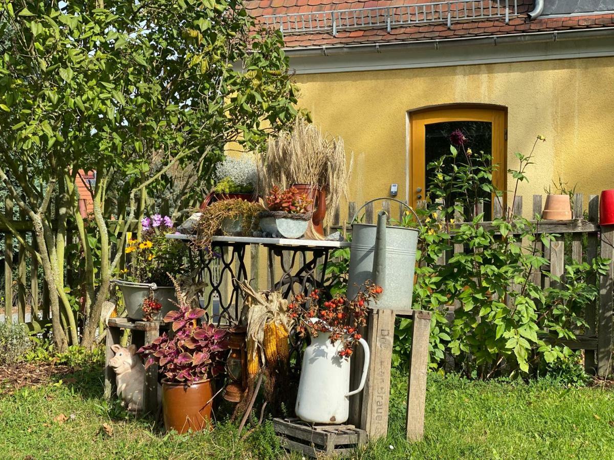 Moderne Pension Vonbartsch Mit Ladestation In Der Saechsischen Schweiz Struppen المظهر الخارجي الصورة